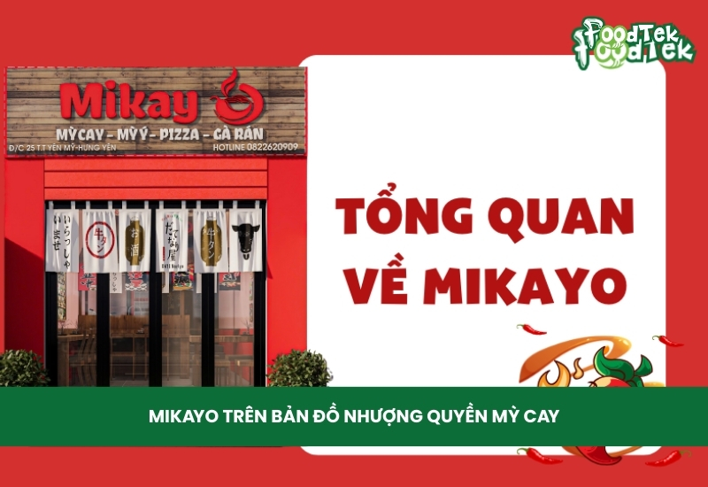 Tổng quan về mikayo